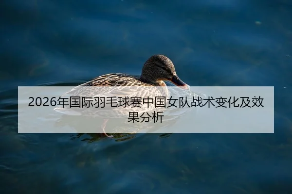2026年国际羽毛球赛中国女队战术变化及效果分析