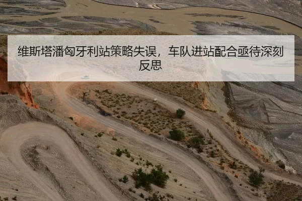 维斯塔潘匈牙利站策略失误，车队进站配合亟待深刻反思