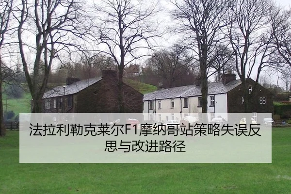 fa-la-li-lei-ke-lai-er-mo-na-ge-zhan-ce-lve-shi-wu-fan-si-yu-gai-jin-lu-jing-3-597.jpg