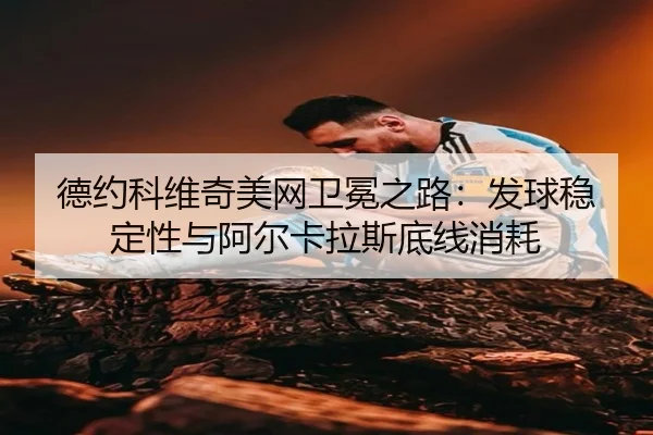 de-yue-ke-wei-qi-mei-wang-wei-mian-zhi-lu-fa-qiu-wen-ding-xing-yu-a-er-ka-la-si-di-xian-xiao-hao-3-687.jpg